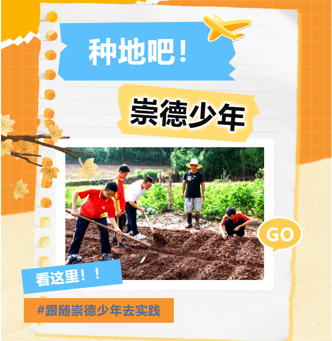社会实践③丨种地吧！崇德少年